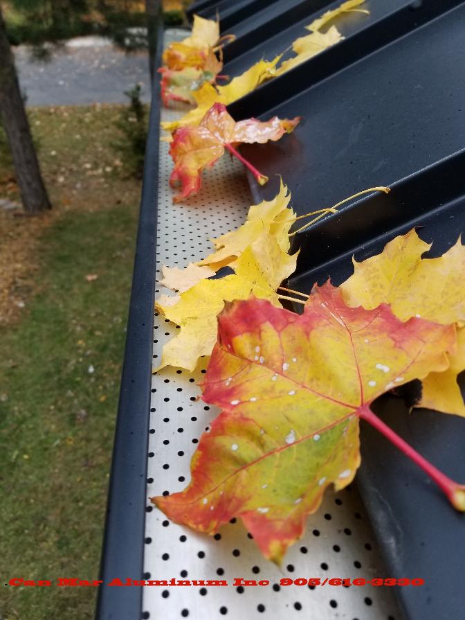 Oakville leaf guard installers