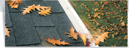 leaf guard services Halton